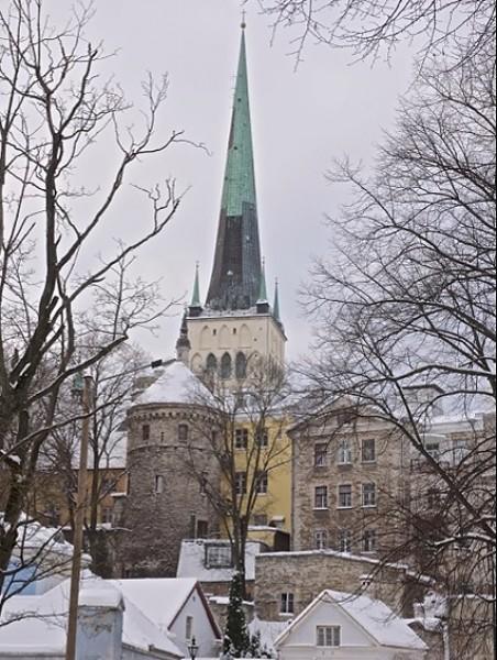 Rapunzel Tower Apartment Tallin Pokój zdjęcie