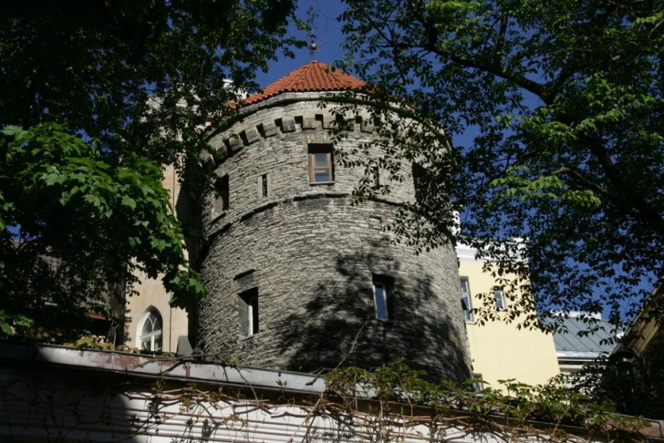 Rapunzel Tower Apartment Tallin Pokój zdjęcie